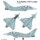 221601011 ETH Arsenal EUROFIGHTER TAIFUN Twinseatter JG-73 of German Luftwaffe